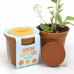 Flower Power Seed Paper Sprouter Kits