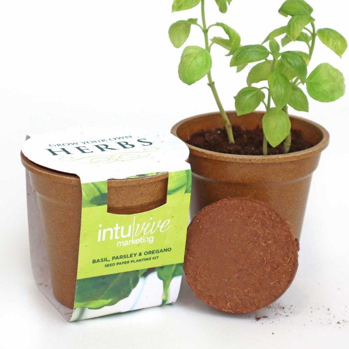 Herb-Seed-Paper-Sprouter-Kit Herb-Seed-Paper-Sprouter-Kit