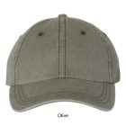 Olive SF500