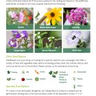 Seeds choice