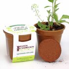 Wildflower-Seed-Paper-Sprouter-Kit