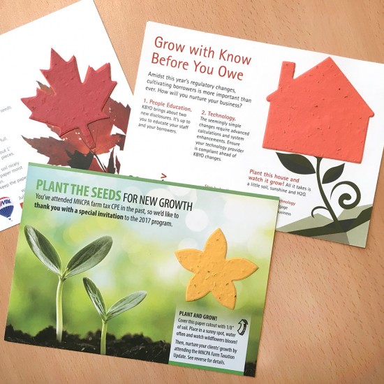 lrg_eco_panel_cards_sgl_2 lrg_eco_panel_cards_sgl_2