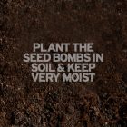 plant_seed_bombs_in_soil.1