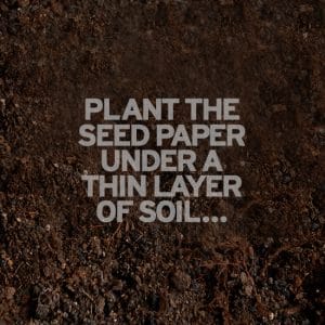 plant_seed_paper_in_soil