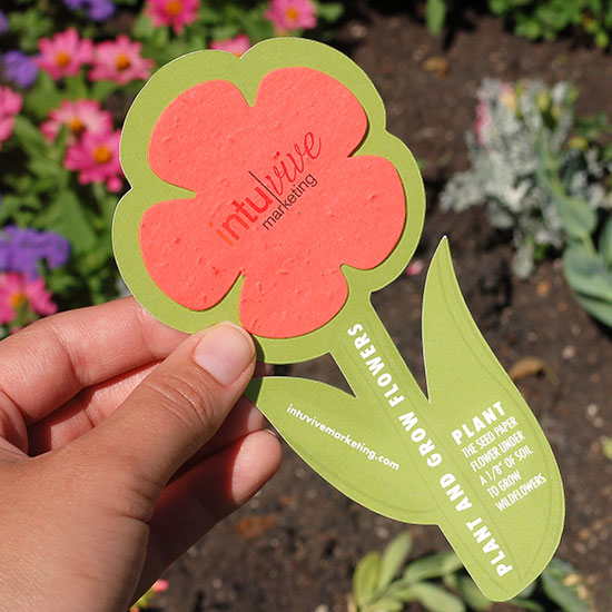 sgl_plantable_rounded_flower_shape_cards sgl_plantable_rounded_flower_shape_cards
