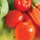 veggies