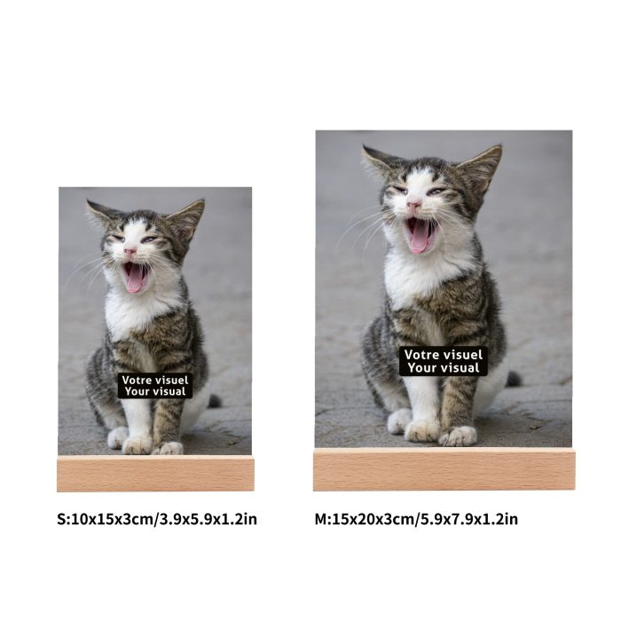 1750362863-7-Tz4wYTvqbw.jpeg 1750362863-7-Tz4wYTvqbw.jpeg